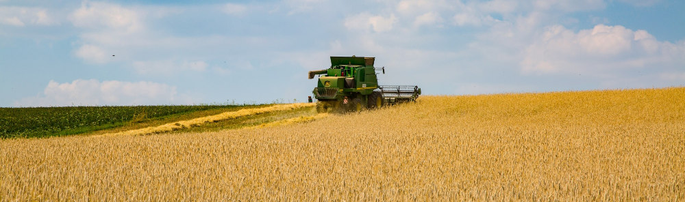 Grain harvesting with a combine